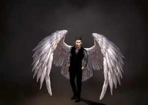 Lucifer White Angel Wings Art Wallpaper