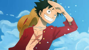 Luffy 4k Wearing Red Polo Wallpaper