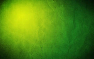 Luminous Light Green Plain Wallpaper