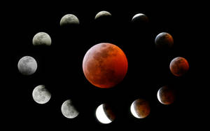 Lunar Eclipse Circular Wallpaper