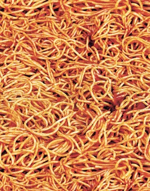 Luscious, Mouthwatering Spaghetti Platter Wallpaper