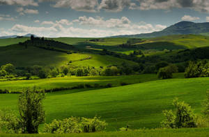 Lush Green Hills In Tuscany Wallpaper