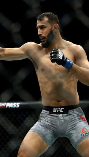 M M A Fighter Readyin Octagon Wallpaper