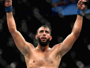 M M A Fighter Victory Celebration Wallpaper