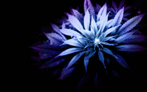 Macbook 4k Purple Blue Weed Aesthetic Wallpaper