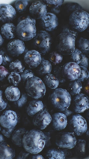 Macro Blueberries Oppo A5s Wallpaper