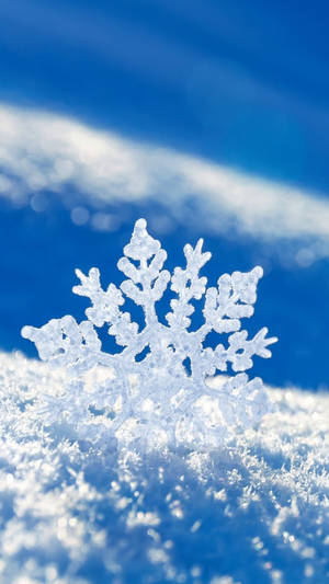 Macro Shot Of White Snowflake Wallpaper
