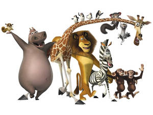 Madagascar Animals Wallpaper