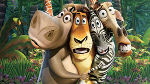 Madagascar Jungle Hollywood Movie Wallpaper