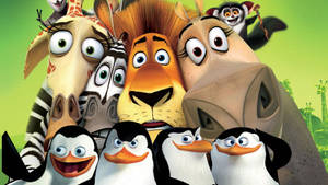 Madagascar Penguins With Animals Wallpaper
