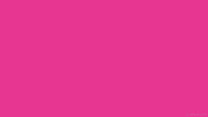 Magenta Pink Plain Color Wallpaper