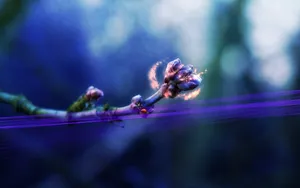 Magic Aura Of Sprouting Flower Wallpaper