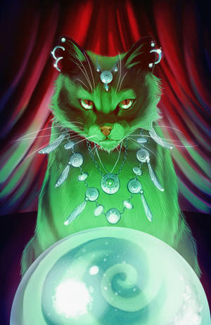 Magic Crystal Ball Of Fortune Teller Cat Wallpaper
