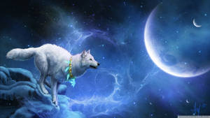 Magic White Wolf At Bright Night Wallpaper