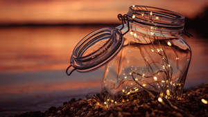 Magical Fairy Lights Illuminated A Winter Wonderland Wallpaper