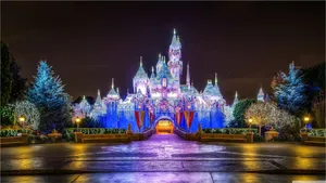 Magical Memories Created In Disney World! Wallpaper