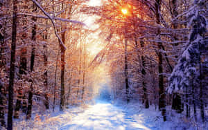 Magical Winter Solstice Scenery Wallpaper