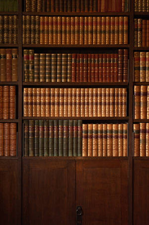 Magnificent Aesthetic Vintage Library Wallpaper