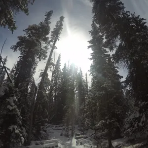 Magnificent Green Landscape Vista With Rolling Hills, Tree-filled Valleys And River Wallpaper