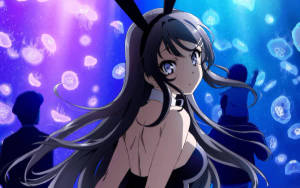 Mai Sakurajima As Bunny Girl Senpai Wallpaper