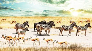 Majestic African Landscape Wallpaper