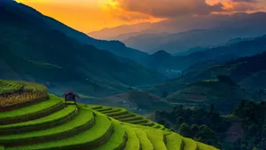 Majestic Banaue Rice Terraces Asia Philippines Wallpaper