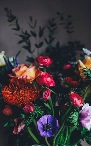 Majestic Beauty Of Dark Hd Flowers Wallpaper