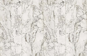 Majestic Black And White Marble Texture Wallpaper