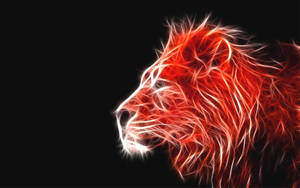 Majestic Fire Lion Igniting Passion Wallpaper
