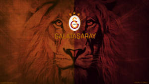 Majestic Galatasaray Lion Wallpaper