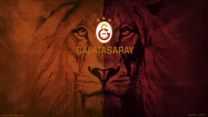Majestic Galatasaray Lion Wallpaper