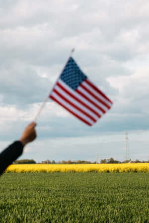 Majestic Glory - The Us Flag Wallpaper