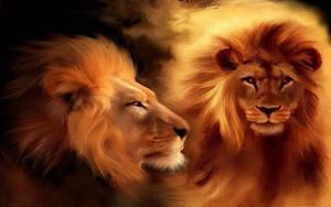 Majestic Lion Head Artwork Wallpaper