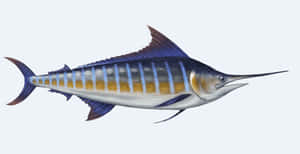 Majestic Marlin Leaping Out Of Turquoise Ocean Wallpaper