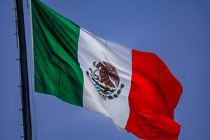 Majestic Mexico Flag Wallpaper