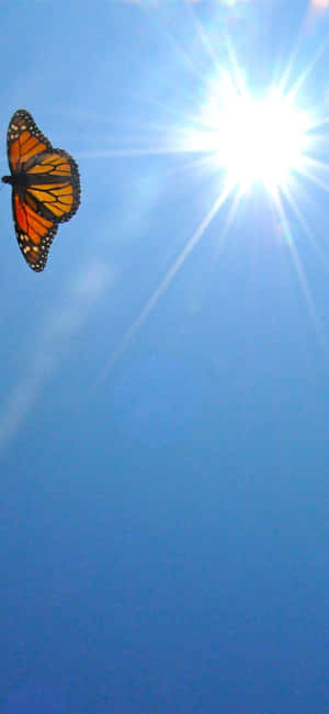 Majestic Monarch Butterfly Soaring In The Clear Blue Sky Wallpaper