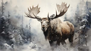 Majestic Moosein Winter Forest Wallpaper