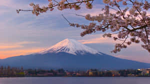 Majestic Mount Fuji In Japan Wallpaper