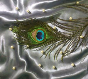 Majestic Peacock Feather And Pearl Wallpaper
