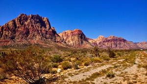 Majestic Red Rock Formations Amidst Desert Greenery Wallpaper