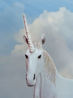 Majestic Unicorn Portrait Wallpaper