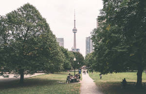 Majestic View Of Cn Tower From High Park Wallpaper