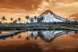 Majestic Volcano In Albay Bicol Philippines Wallpaper