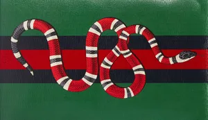 Make A Statement With Gucci Green Wallpaper