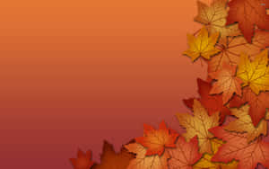 Make The Most Of Autumn's Natural Beauty Wallpaper