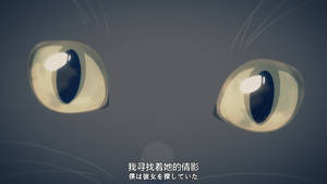 Makoto Shinkai Daru She And Her Cat Wallpaper