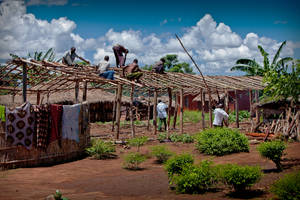 Malawi People Constructing Wooden House Wallpaper