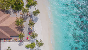 Maldives Beachside Aerial Wallpaper