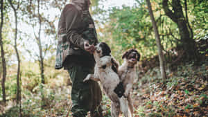 Man And Dogs Hunting Desktop Wallpaper