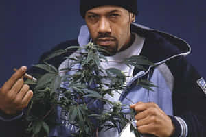 Man Holding Cannabis Plant Wallpaper